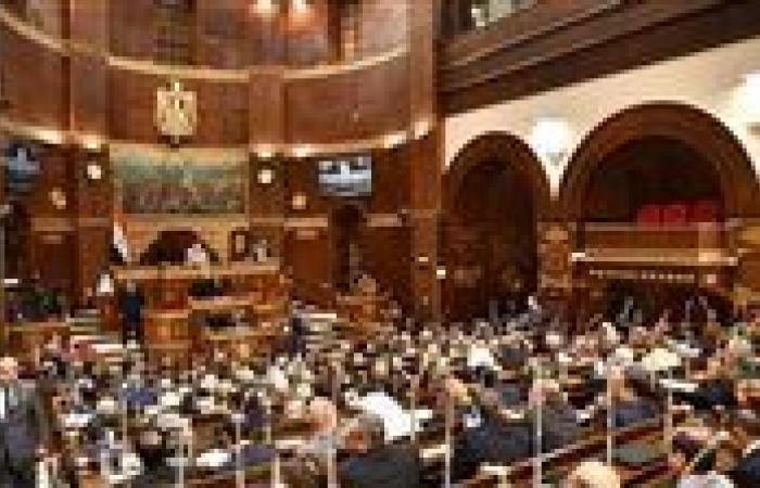 مجلس الشيوخ يناقش اقتراح النائبة زينب فهيم بشأن توفير جهاز رنين مغناطيسي لمستشفى فاقوس المركزي بالشرقية