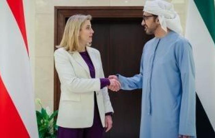 الإمارات والنمسا تبحثان المستجدات الإقليمية والدولية وتعزيز العلاقات الثنائية