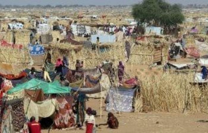 مسؤولة أممية: أطفال السودان يعيشون على حافة الهاوية ويحتاجون اهتمام دولي عاجل