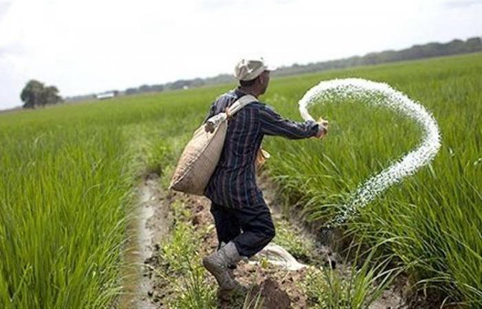 أسعار الأسمدة اليوم الأربعاء 4 فبراير 2026 في السوق المحلي والعالمي