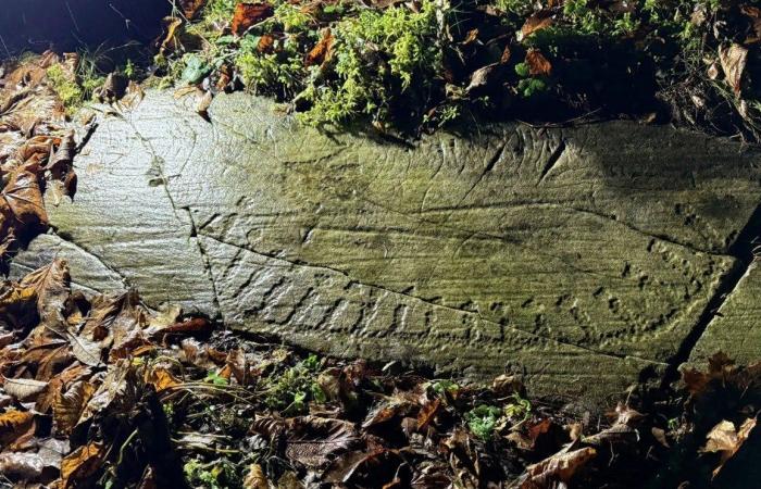 اكتشاف نقوش صخرية من العصر البرونزي عمرها 3000 عام في النرويج