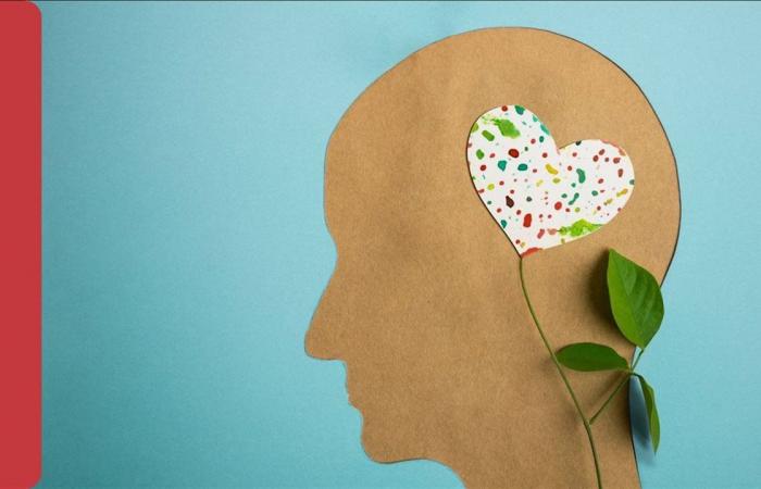 كيف تؤثر العلاقات الاجتماعية على الصحة النفسية والاستقرار العاطفي؟