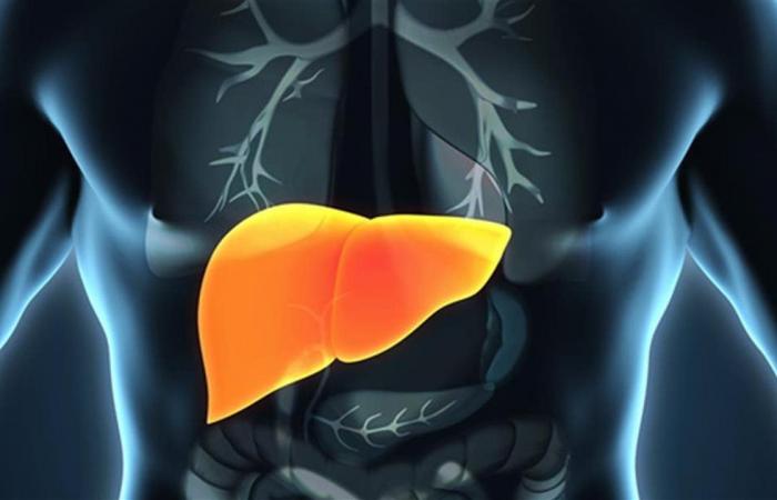 كيف يؤثر العمل الليلي والأكل غير المنتظم على صحة الكبد؟