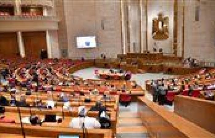 نائبة: بيان النواب والشيوخ أكد موقف مصر الثابت والحاسم في دعم أمن واستقرار الدول العربية