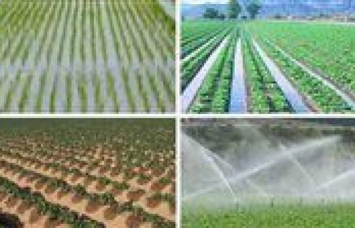 عقوبات تصل للحبس والغرامة.. قانون الري يحظر التعدي على شبكات المياه والمصارف..مبيت