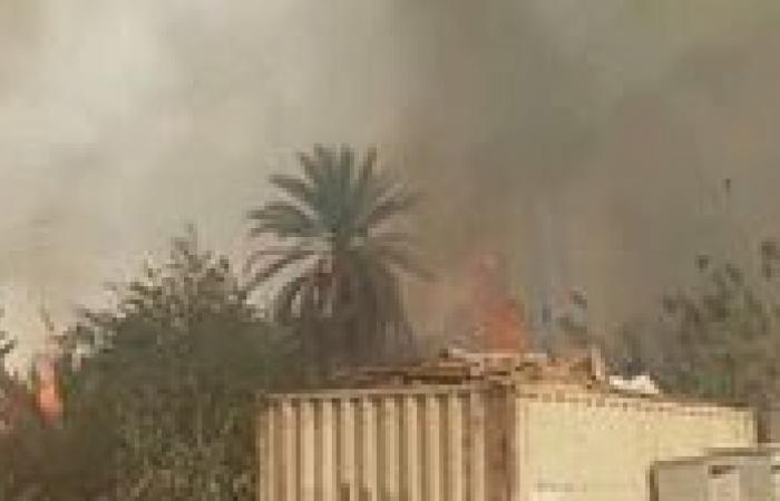 النيران تحاصر النخيل والدخان غطى المكان.. حريق هائل يهز نجع الحلة في إسنا