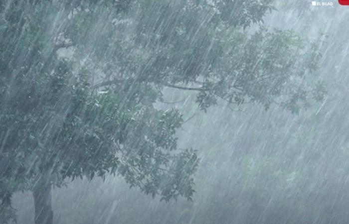 استمرار تساقط الأمطار عبر عدة ولايات إلى غاية الخميس