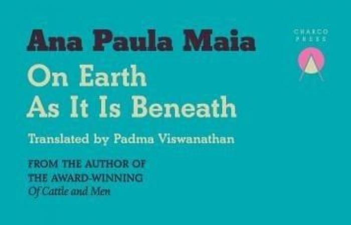 بعد دخولها قائمة البوكر القصيرة.. عن ماذا تدور «أحداث على الأرض كما هى فى الأسفل»