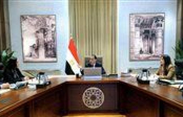 رئيس الوزراء: التوسع في العمل عن بُعد خلال الفترة المقبلة لمواجهة استمرار الأزمة