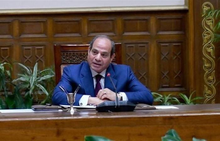 برلماني: توجيهات الرئيس السيسي للحكومة ترسم مسارًا واضحًا لتعزيز الاقتصاد وتحقيق الاستقرار