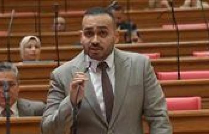 النائب أحمد ناصر يتقدم بطلب إحاطة لمراجعة اتساق الاستراتيجية الصناعية مع أزمة الطاقة