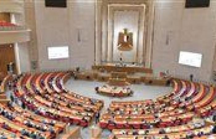 ضوابط حل المجالس المنتخبة في مشروع قانون المجالس المحلية الجديد