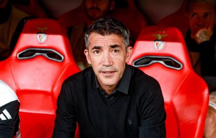 هدف الأهلي السابق.. برونو لاج على رأس قائمة المرشحين لتدريب سلتيك الأسكتلندي