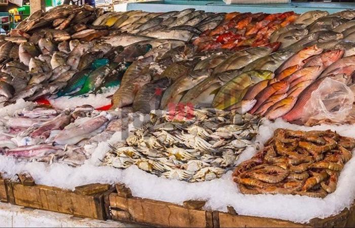 أسعار الأسماك والمأكولات البحرية اليوم الجمعة 3 إبريل 2026