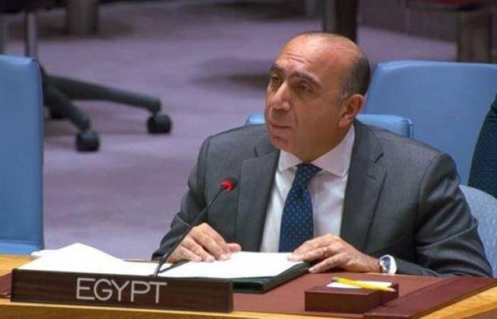مندوب مصر أمام مجلس الأمن: نطالب إيران بوقف هجماتها على السفن التجارية