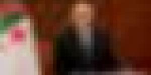 الجزائر تدعو إلى إعادة ترتيب أولويات الشراكة الإفريقية-الأوروبية