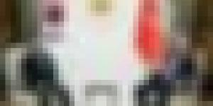 أردوغان يعلن عن تعاون تركي كوري جنوبي بالصناعات الدفاعية والنووية