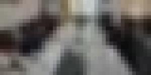 إطلاق خط بحري تجاري أسبوعي لنقل الحاويات بين سكيكدة وفالنسيا الإسباني