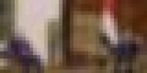 الوزير الأول يُستقبل من طرف الرئيس المصري