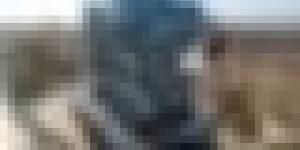 عدد المكتتبين المقبولين في برنامج "عدل 3"