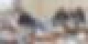 اتفاق بتسريع وتيرة المشروع الفلاحي لبونيفيكي الإيطالية في تيميمون