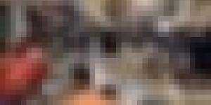 القضاء على أقدم سوق فوضوي " الكميل" بوهران