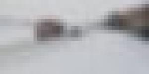 تقلبات جوية: طرقات مغلقة عبر 6 ولايات