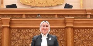 طلب إحاطة لتوصيل الغاز الطبيعي للقرى المحرومة