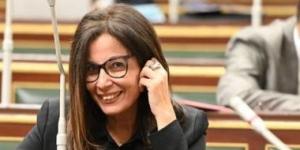 تعرف على أعضاء لجنة الاستثمار الثقافي بالمجلس الأعلي للثقافة