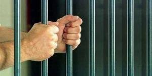 عقوبات صارمة لحماية الرقعة الزراعية.. الحبس والغرامة في مواجهة التعديات