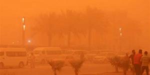 البيئة: شبكة قومية لرصد ملوثات الهواء تعمل على مدار الساعة لمتابعة موجة الأتربة