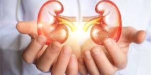 6 عادات يومية تحافظ على صحة الكلى وتقلل خطر الأمراض المزمنة