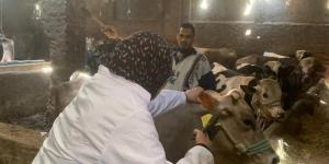 حملات تحصين مكثفة ضد مرضي الجلد العقدي للأبقار وجدري الأغنام