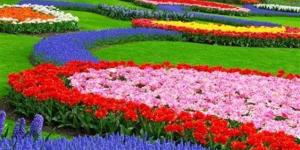 موعد بداية فصل الربيع 2026 في مصر رسميًا