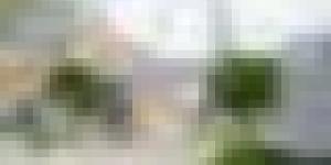 وزارة الصناعة الصيدلانية: إجراءات لضمان التزود المستقر بالمواد الأولية من الأسواق الدولية