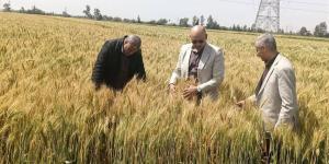 وكيل "زراعة الغربية" يتفقد زراعات القمح ويتابع الاستعدادات النهائية لموسم الحصاد