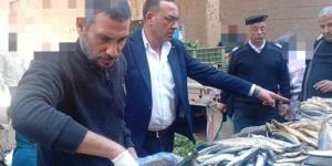 تزامنًا مع أعياد الربيع.. ضبط ربع طن أسماك مملحة فاسدة بأسواق الشهداء بالمنوفية