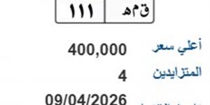 لوحة (ق م ه- 111) المميزة يصل سعرها 400 ألف جنيه