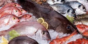 أسعار الأسماك والمأكولات البحرية بأسواق الغربية اليوم الثلاثاء 7 أبريل 2026