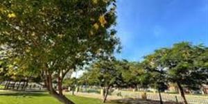 زراعة الأشجار تُعيد الحياة لحديقة جاردن سيتي بالإسماعيلية