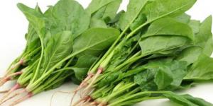 نصائح عامة للحد من مخاطر السبانخ
