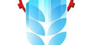 القابضة الغذائية: استلام 5.7 مليون طن قصب من المزارعين.. والتوريدات مستمرة للوصول إلى المستهدف