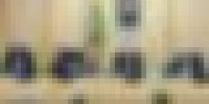 افتتاح منتدى رجال الأعمال الجزائري – التشادي