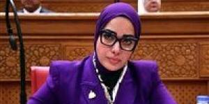 النائبة آية عبد الرحمن تتقدم بمشروع قانون بشأن حماية الملكيه الفكرية