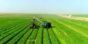 جهاز «مستقبل مصر» يعزز جاذبية الاستثمار ويحفّز مشاركة القطاع الخاص