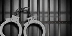 بندقية هواء وسلاح أبيض.. واقعة صيد تتحول إلى اعتداء في الإسكندرية