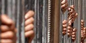 أرض سفارة خليجية في الجيزة.. تأجيل محاكمة 14 متهمًا في قضية تزوير كبرى