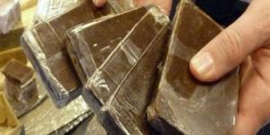 السجن المشدد لتاجر حشيش غرب الإسكندرية