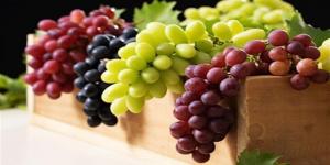 العنب يقفز لـ 130 جنيهًا.. تجار يكشفون الحقيقة وراء هذا الارتفاع