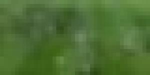 جمعية مغربية تفضح سلطات بلادها باستهداف فريق اتحاد العاصمة خلال مباراته مع فريق آسفي